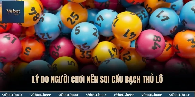 Lý do người chơi nên soi cầu bạch thủ lô